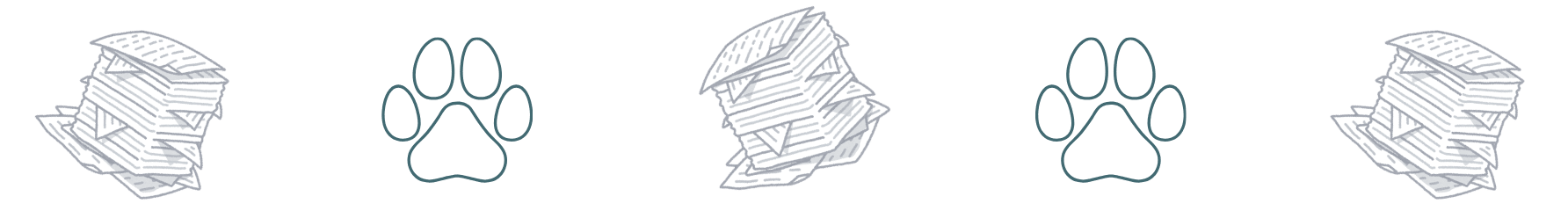 pet insurance planning during wellness exam at Brown Animal Hospital Lake City SC